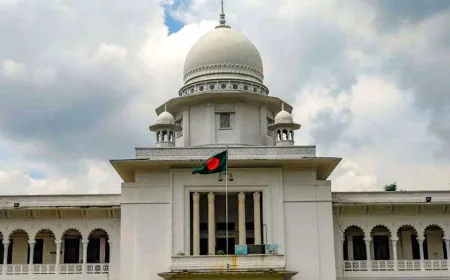 ঢাকায় মশা নিয়ন্ত্রণে কার্যকর পদক্ষেপ নিতে হাইকোর্টের নির্দেশ