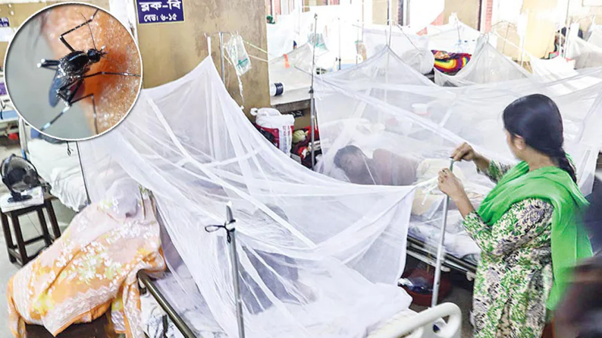 ডেঙ্গু : নিয়ন্ত্রণের বাইরে দুই সিটির ১৩ ওয়ার্ড