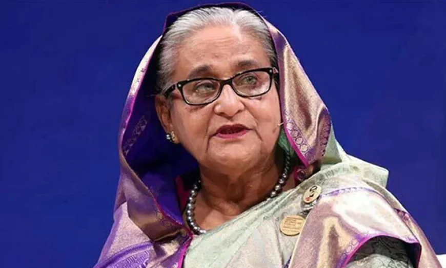 শেখ হাসিনার আদালত অবমাননার অভিযোগের শুনানিতে অ্যামিকাস কিউরি নিয়োগ