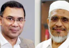 তারেক-বাবরের খালাসের বিরুদ্ধে আপিল শুনানি আজ