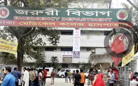 পারিবারিক কলহে স্বামীর গোপনাঙ্গ কর্তন, স্ত্রী পলাতক