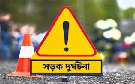 রংপুরে সড়ক দুর্ঘটনায় ৩ জন নিহত ও ৫০ জন আহত
