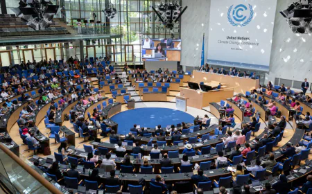 COP29 প্রেসিডেন্সির ফলপ্রসূ দুই সপ্তাহ বন ক্লাইমেট কনফারেন্সে