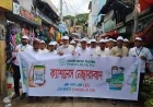 নেছারাবাদে পূবালী ব্যাংকের ক্যাশলেস ব্যাংকিং সেবা প্রচার কার্যক্রম