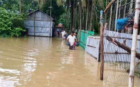 বন্যায় ৭ জেলায় ক্ষতিগ্রস্ত ১০ লাখ মানুষ, নিহত ৫১