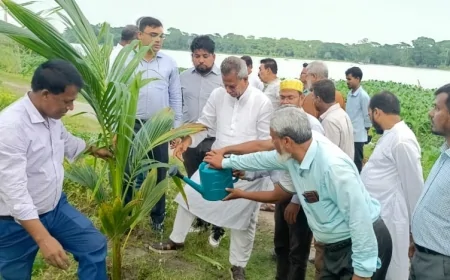 বাকেরগঞ্জ পৌরসভার উদ্যোগে ১ হাজার বৃক্ষরোপণ কর্মসূচির উদ্বোধন