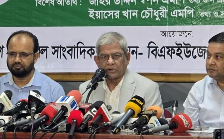 হাসিনার ভাষায় কথা বলছে বিরোধী দলের নেতারা: মির্জা ফখরুল