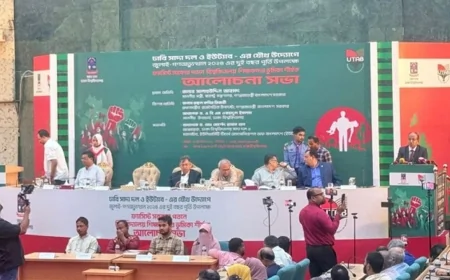 হাসিনাকে ফেরাতে ৪০৪ শিক্ষকের তৎপরতা, ব্যবস্থা নেওয়ার দাবি