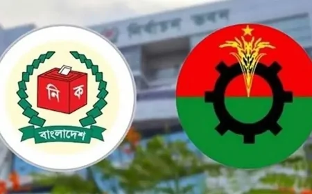 রাষ্ট্রপতি নির্বাচনে দুটি মনোনয়নপত্র সংগ্রহ করেছে বিএনপি