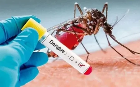 ডেঙ্গুতে আরও ২ জনের মৃত্যু, আক্রান্ত ৬৭২