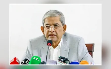 রাষ্ট্রপতি পদে মির্জা ফখরুলকে মনোনয়ন দিল বিএনপি