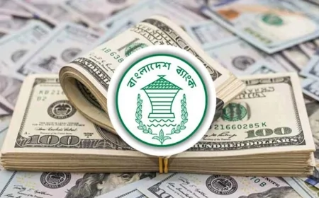 আগস্টের ১৭ দিনে রেমিট্যান্স এলো ২৩ হাজার কোটি টাকা