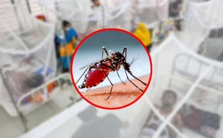 ডেঙ্গুতে আরও ৩ জনের মৃত্যু, হাসপাতালে ভর্তি ৭৫৩