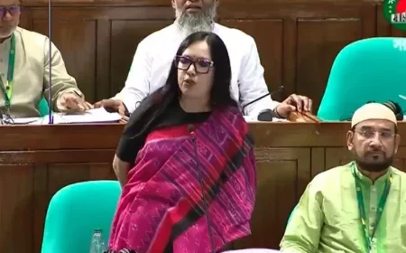 ৬৪ জেলায় ৬৪ জন ‘স্বরাষ্ট্রমন্ত্রী’ থাকলে মন্দ হতো না: রুমিন ফারহানা  
