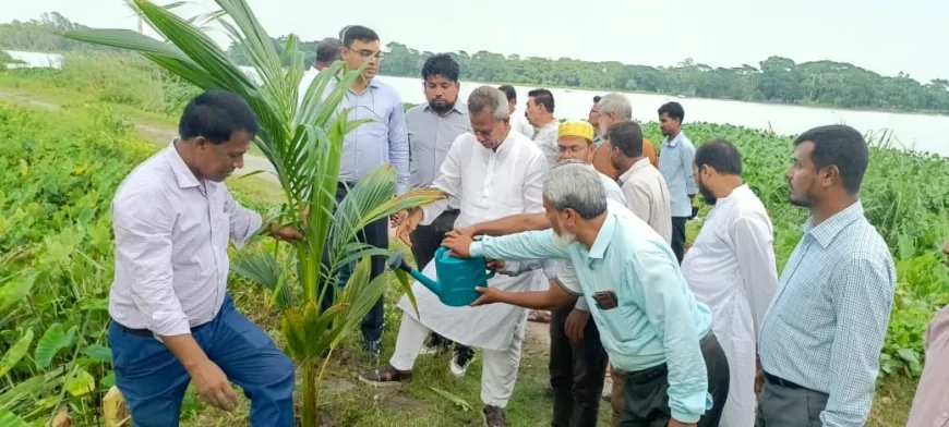 বাকেরগঞ্জ পৌরসভার উদ্যোগে ১ হাজার বৃক্ষরোপণ কর্মসূচির উদ্বোধন