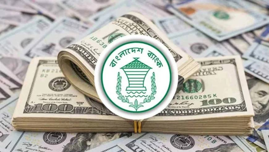১৯ দিনে প্রবাসী আয় ২৫ হাজার কোটি টাকা