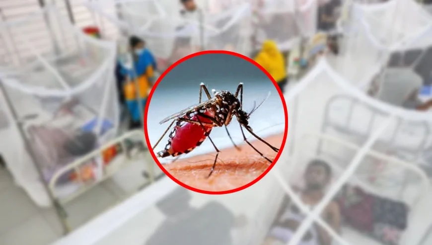 ডেঙ্গুতে আরও ৩ জনের মৃত্যু, হাসপাতালে ভর্তি ৭৫৩