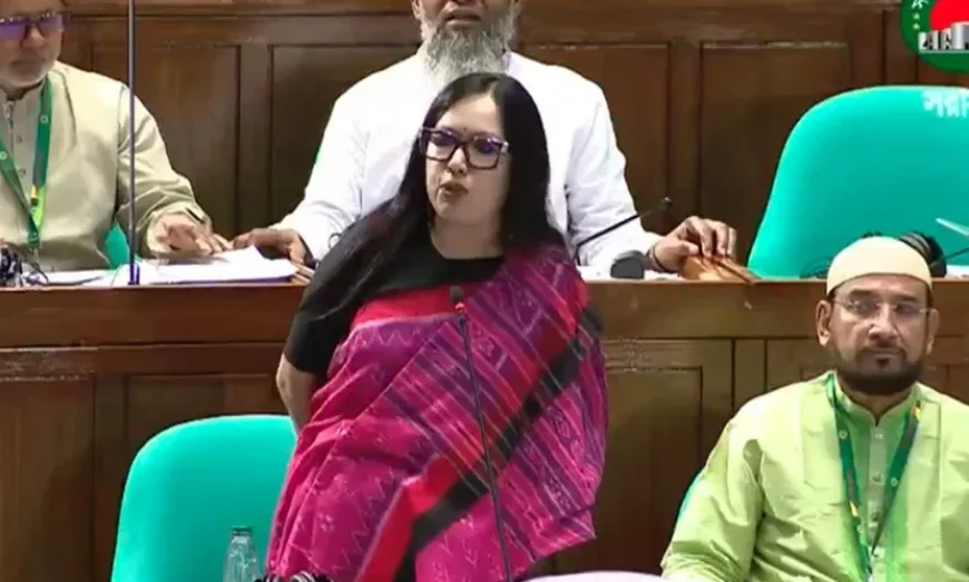 ৬৪ জেলায় ৬৪ জন ‘স্বরাষ্ট্রমন্ত্রী’ থাকলে মন্দ হতো না: রুমিন ফারহানা  