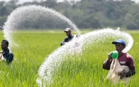 সারের ডিলার কমিশন বাড়ল, কৃষক পর্যায়ে দাম অপরিবর্তিত