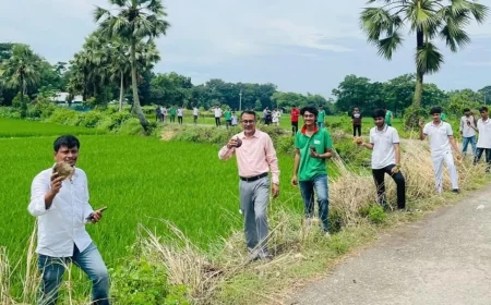 পরিবেশ রক্ষা ও বজ্রপাত মোকাবিলায় কুমিল্লায় তালবীজ রোপণ
