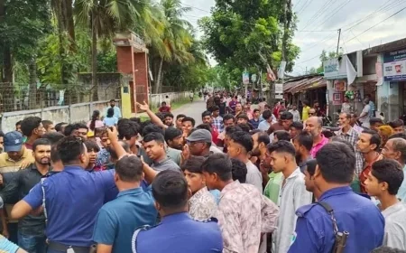 কালিগঞ্জে বিএনপির দুই পক্ষের সংঘর্ষ, আহত ১১