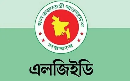 সেতু নির্মাণে অনিয়ম: এলজিইডির তিন কর্মকর্তা-কর্মচারী বরখাস্ত
