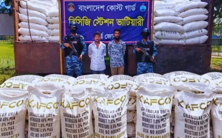 মিয়ানমারে পাচারের সময় ৬০০ বস্তা ইউরিয়া সার জব্দ, গ্রেপ্তার ২