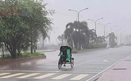 ঢাকার আকাশ মেঘলা,বজ্রবৃষ্টির সম্ভাবনা; বাড়তে পারে গরম