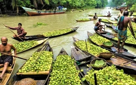 নৌকায় ভাসে বাজার, চার ঘণ্টায় কোটি টাকার বেচাকেনা