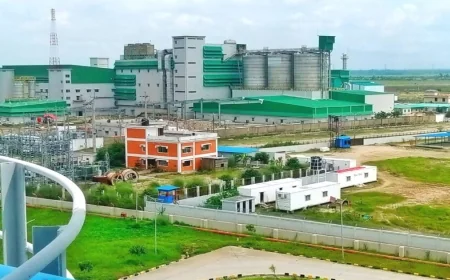 মিরসরাইয়ে ফার্মিক স্টিলের ফার্নেসে দুর্ঘটনা, চীনা নাগরিকসহ আহত ৪