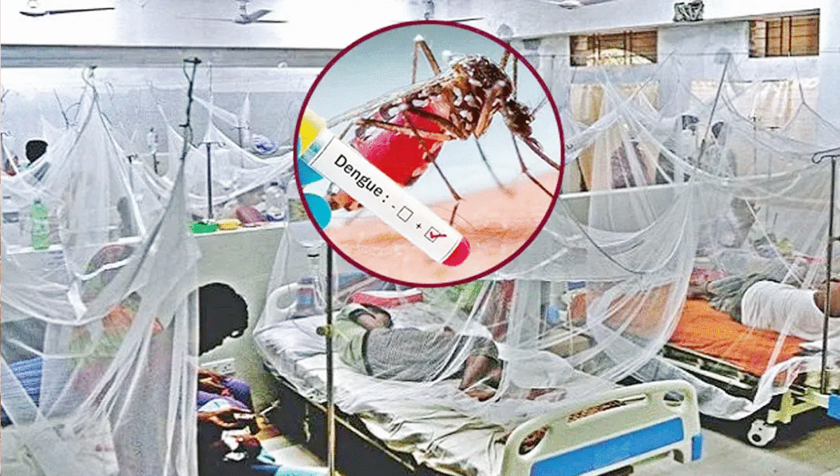 ডেঙ্গুতে আরও আটজনের মৃত্যু, মোট প্রাণহানি দেড়শ ছাড়ালো