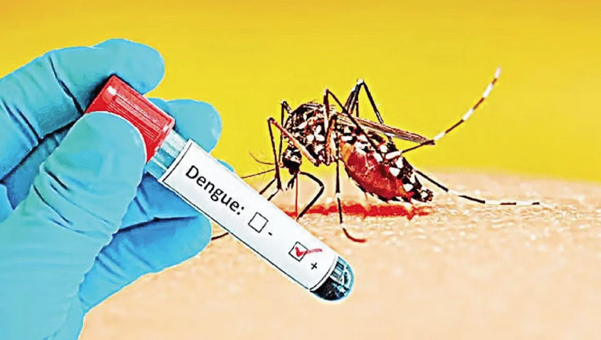 ডেঙ্গুতে আরও ৭ জনের মৃত্যু, হাসপাতালে ভর্তি ১,৭৫৩