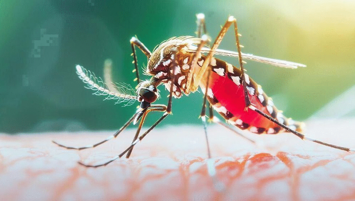 ডেঙ্গুতে আরও ৫ জনের মৃত্যু, হাসপাতালে ভর্তি ১,৪৮৪
