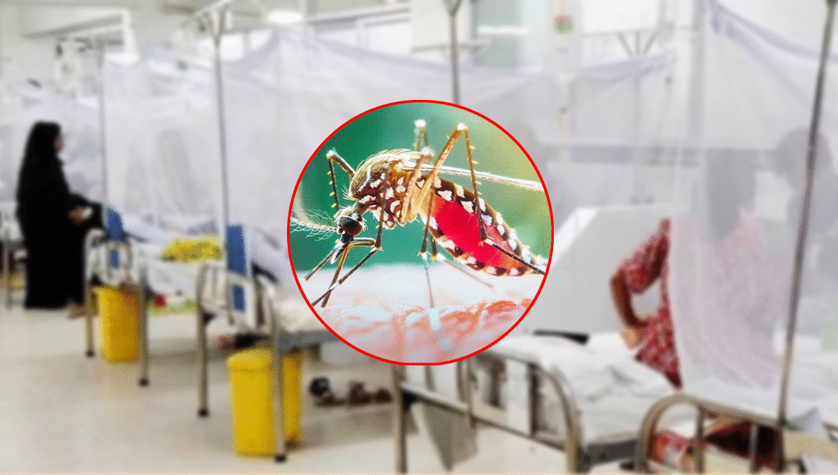 ডেঙ্গুতে আরও ৬ জনের মৃত্যু, হাসপাতালে ১ হাজার ৬৫৫