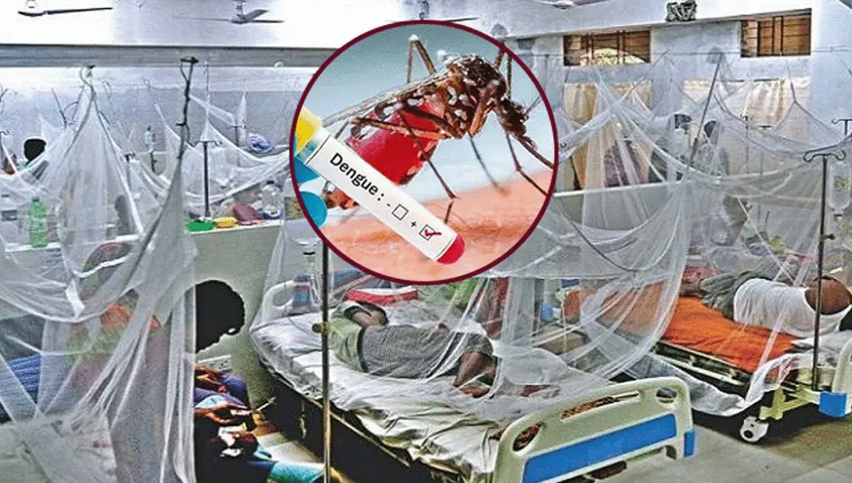 ডেঙ্গুতে আরও ৫ জনের মৃত্যু, হাসপাতালে ভর্তি ১,৮৭২