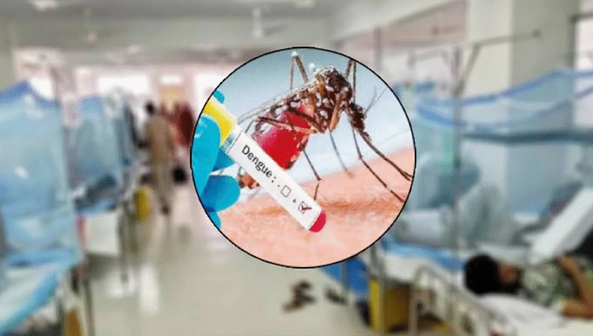 ২৪ ঘণ্টায় ডেঙ্গুতে ৬ জনের মৃত্যু, হাসপাতালে ভর্তি ২১৫৮