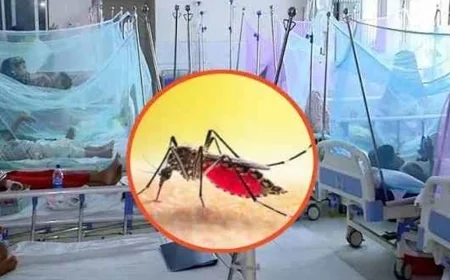 ডেঙ্গুতে প্রাণ গেল আরও ৩ জনের, মৃত্যু ৫০ ছাড়াল