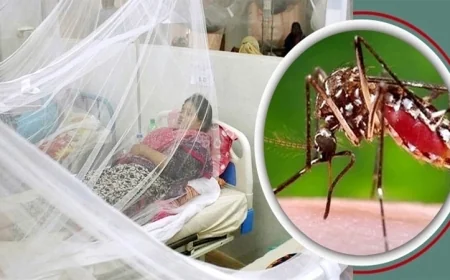 ডেঙ্গুতে আরও ৮ জনের মৃত্যু, হাসপাতালে ভর্তি ১৮৬০