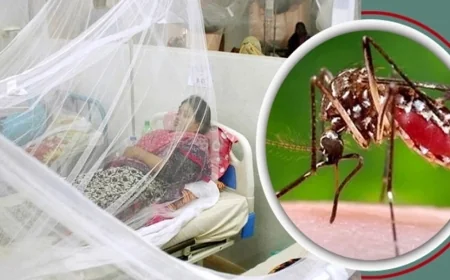অক্টোবরের প্রথম সপ্তাহেই ডেঙ্গুতে প্রাণ গেল ৪৯ জনের