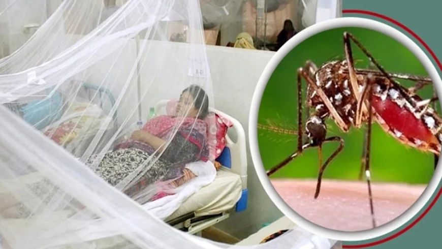 অক্টোবরের প্রথম সপ্তাহেই ডেঙ্গুতে প্রাণ গেল ৪৯ জনের